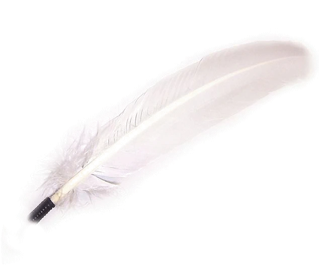 Automailer Ecrire1Mot